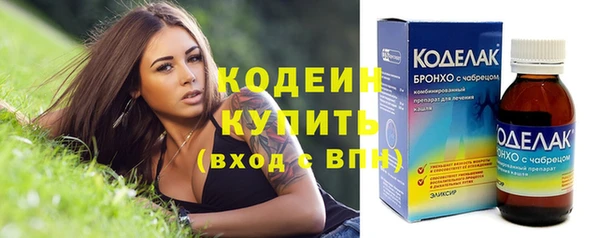 гидра Каменка