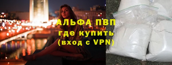 гидра Каменка