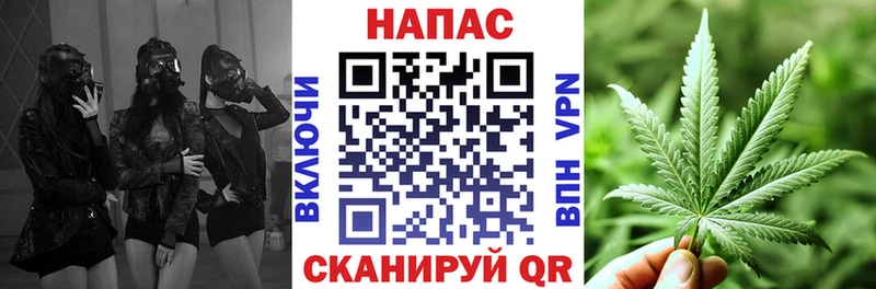 blacksprut вход  Харабали  Канабис планчик  дарнет шоп 